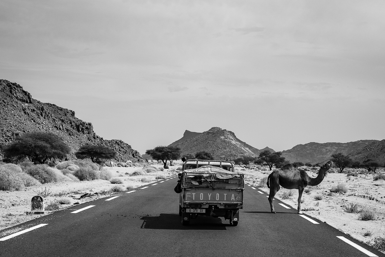 Human & Nature  outoftime 7